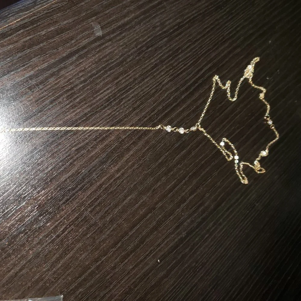 Gorgeous New Back Chain Necklace - Picture 6 of 6